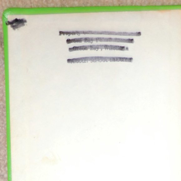 The Grey King (A Margaret K. Mc Elderry Book): Book 4 of The Dark Is Rising - Picture 2 of 7